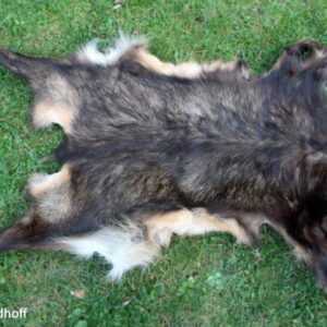 Schleppwild Gamsdecke