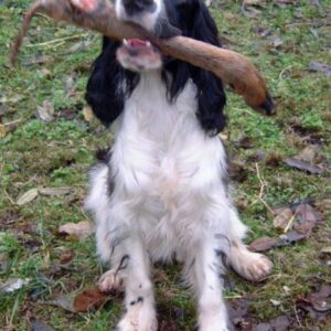 Schleppwild Rehläufe